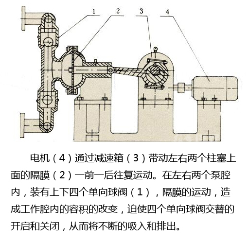 電動隔膜泵結(jié)構(gòu)圖 電動隔膜泵結(jié)構(gòu)圖
